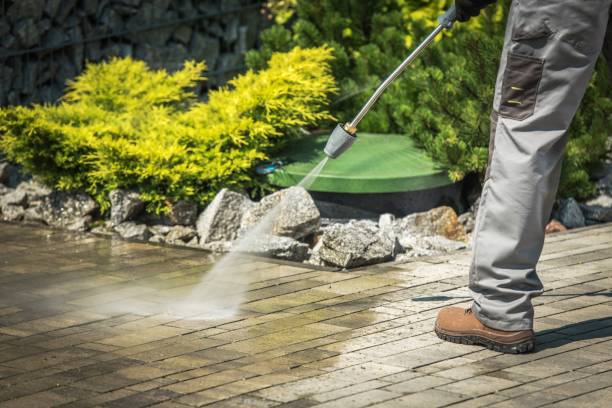 Best Boat and Dock Cleaning  in Rogers, TX