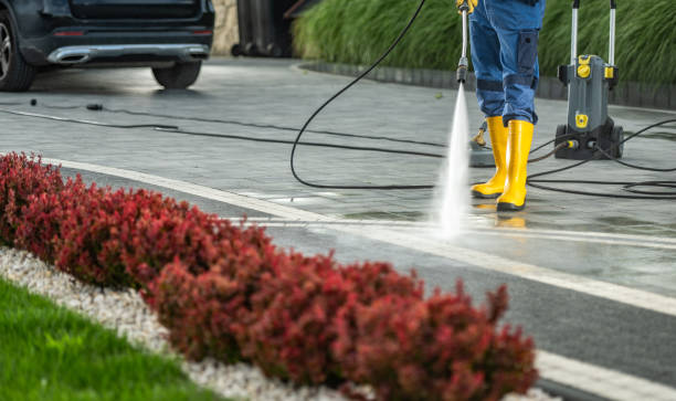 Animal Enclosure Cleaning in Rogers, TX